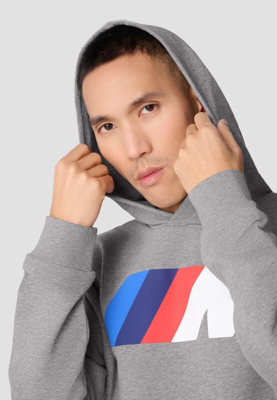 CORE DEFAULT M HOODY - model