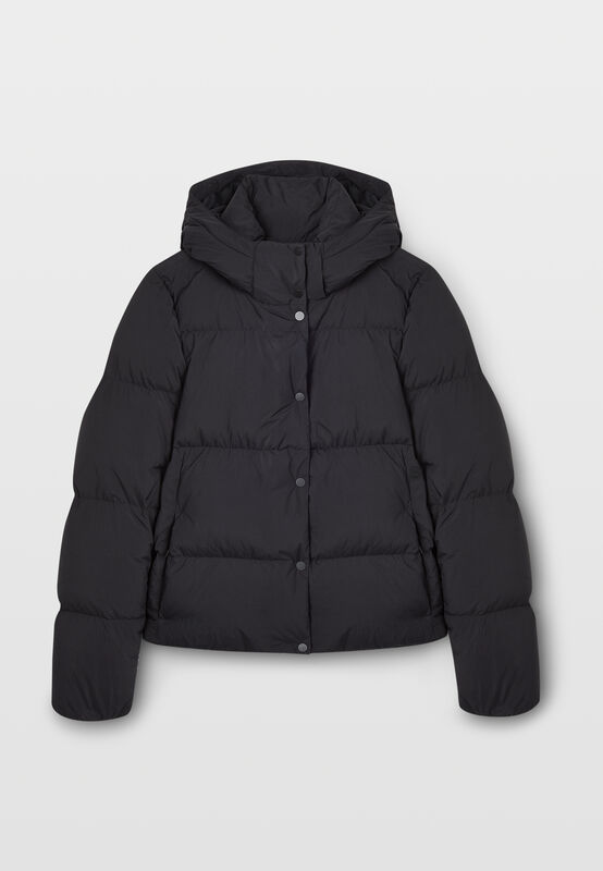 BMW Core Tag Insulation Hoodie Jacket 24ss - BMW Lifestyle - Black L for females - 8719203296999 - Fuel For Fans F1 Merchandise store