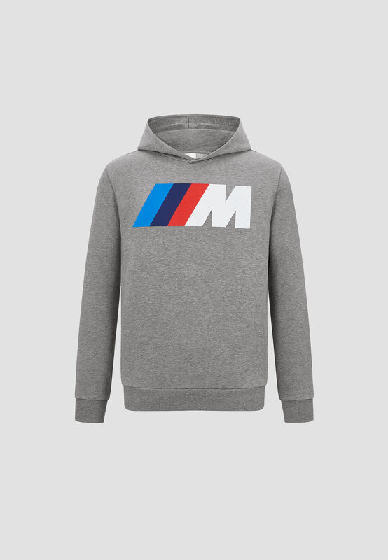 CORE DEFAULT M HOODY - hi-res
