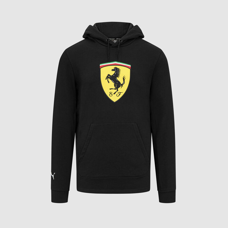 SF FW MENS SHIELD HOODY - black