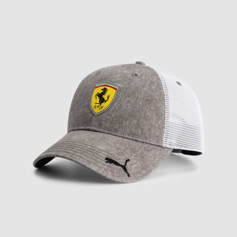 SF FW TRUCKER CAP - grey