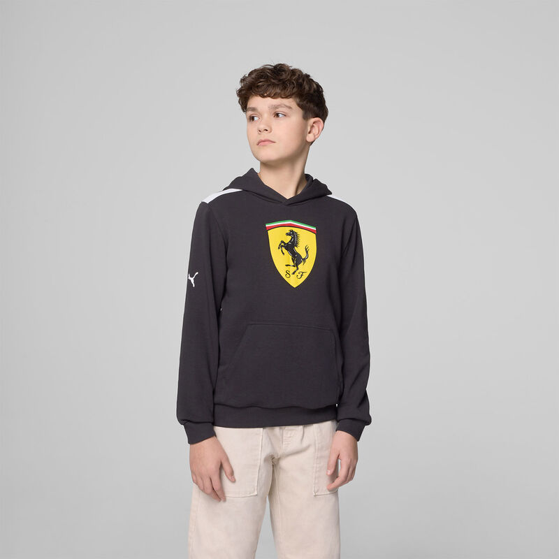 SF FW KIDS LARGE SHIELD HOODY - black