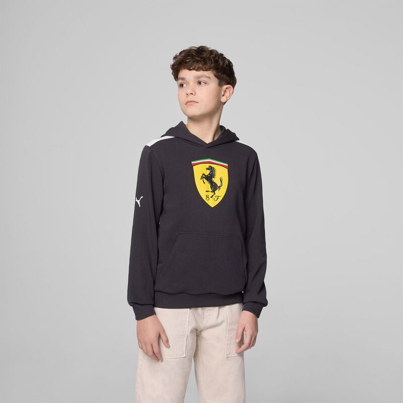 SF FW KIDS LARGE SHIELD HOODY - black