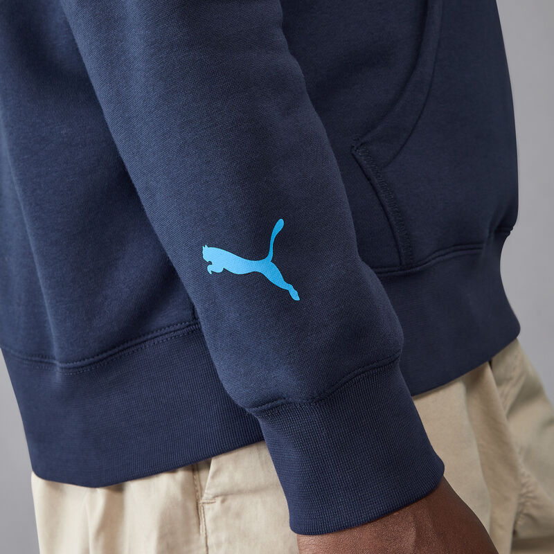 WILLIAMS RACING FW MENS SARGEANT HOODY - navy