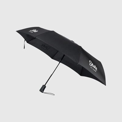 Compact Umbrella