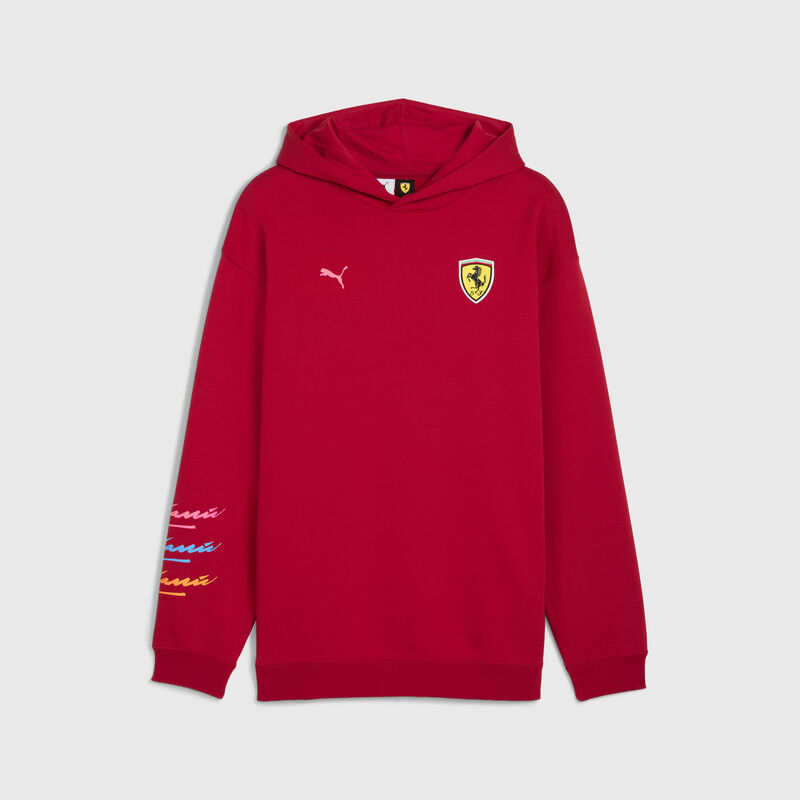 SF LS MIAMI GRAPHIC HOODIE - tibetan red