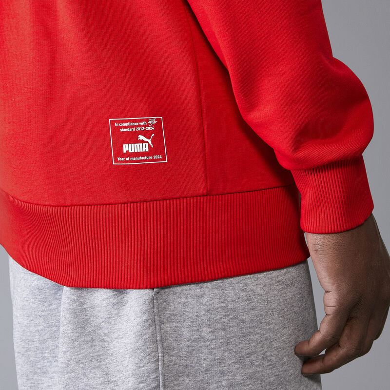 SF FW MENS GRAPHIC HOODY - red