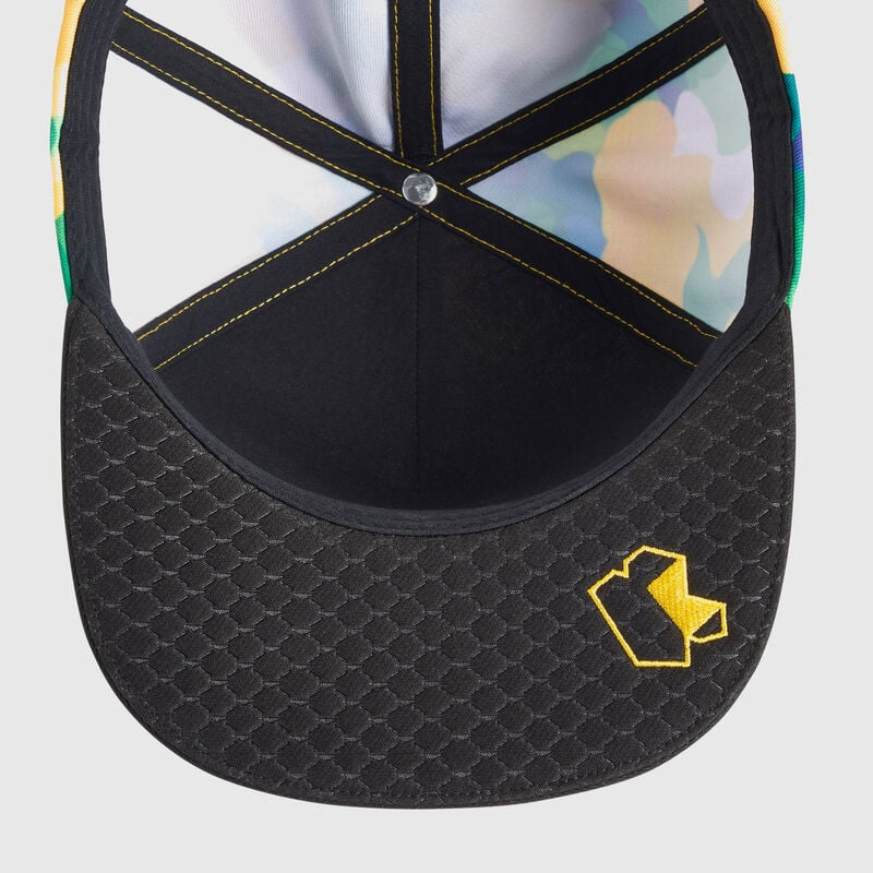 AMCF1 FLAT PEAK CAP BRAZIL - multicolor