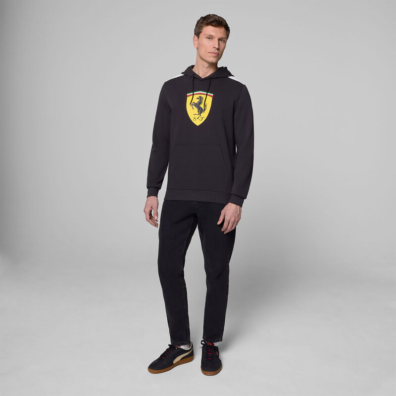 SF FW LARGE SHIELD HOODY - black