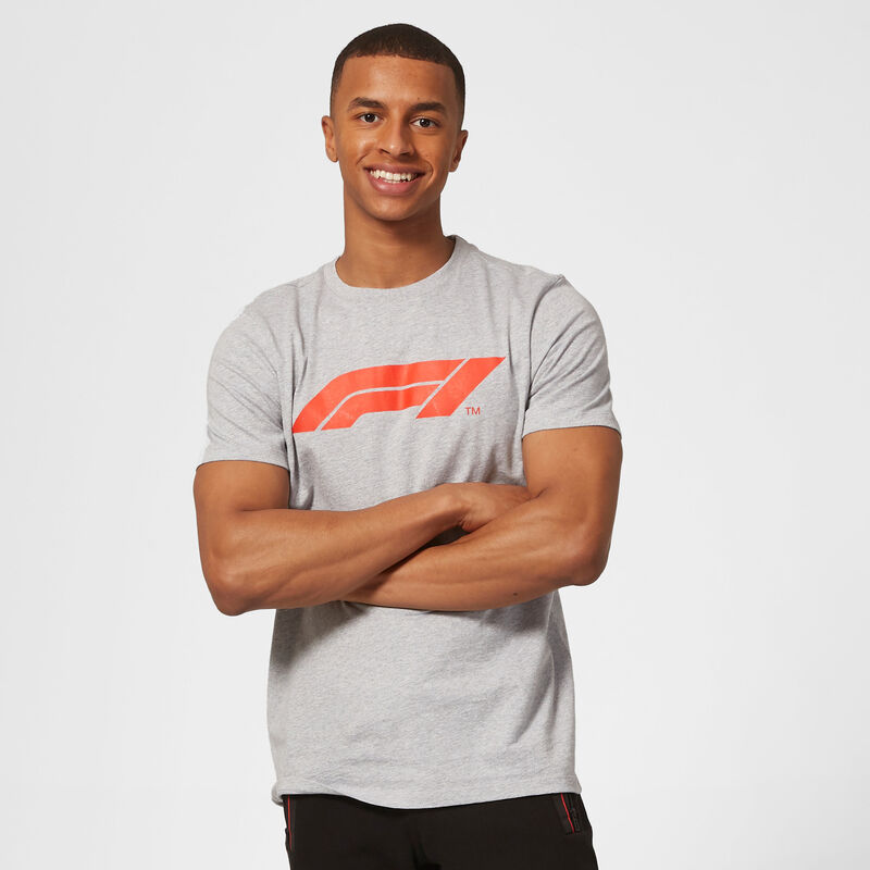 F1 FW MENS LARGE LOGO TEE - grey