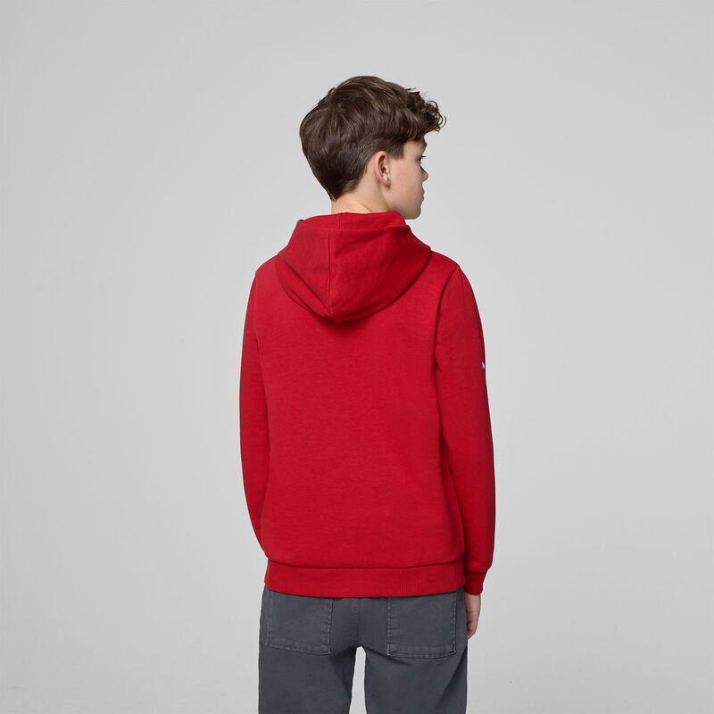 SF FW KIDS LARGE SHIELD HOODY - red