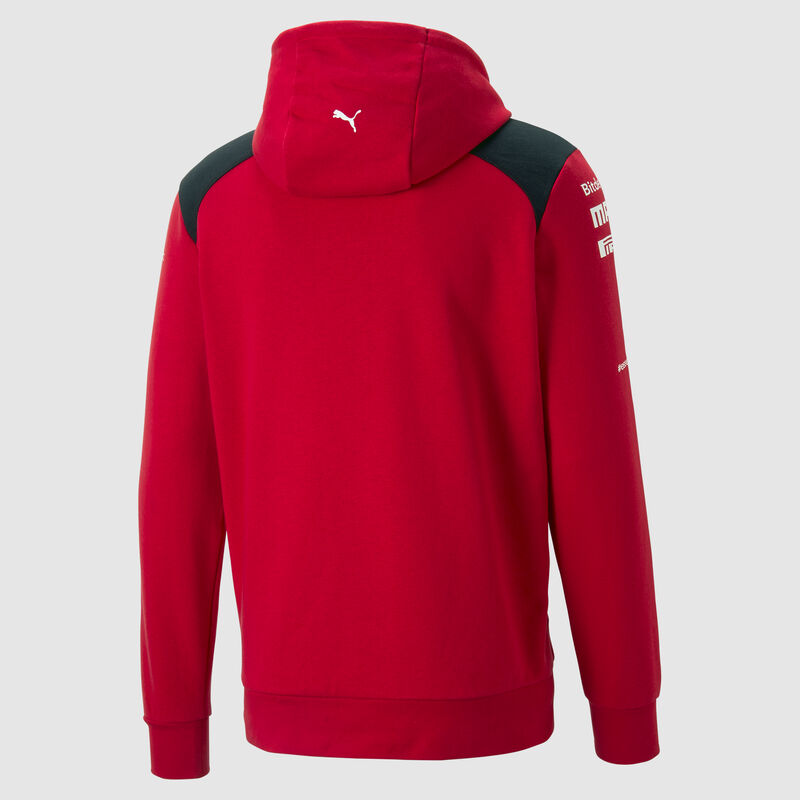 SF RP MENS TEAM HOODY - red