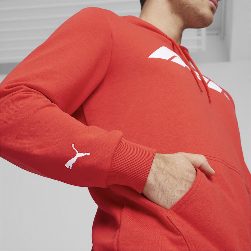 F1 ESS MENS LOGO HOODY - red