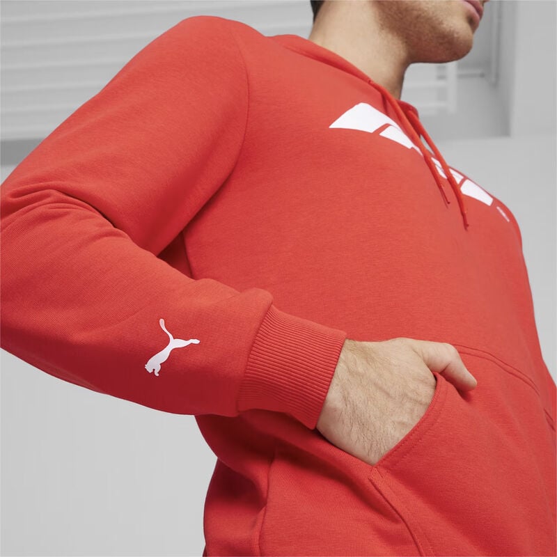 F1 FW Logo Hoodie - red