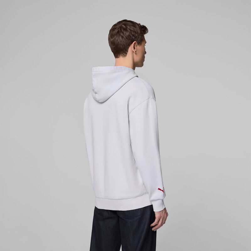 SF FW GRAPHIC HOODY - grey