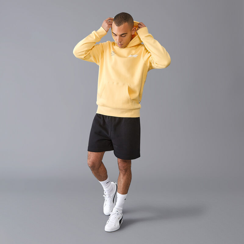 F1 FW RDW HOODY - yellow