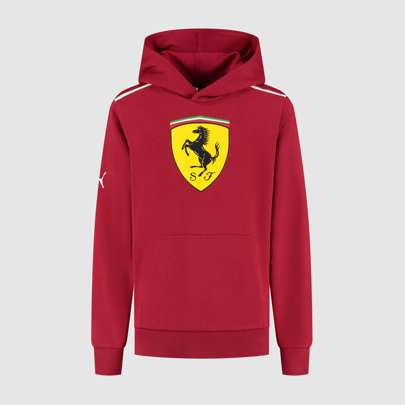 SF FW KIDS LARGE SHIELD HOODY - red