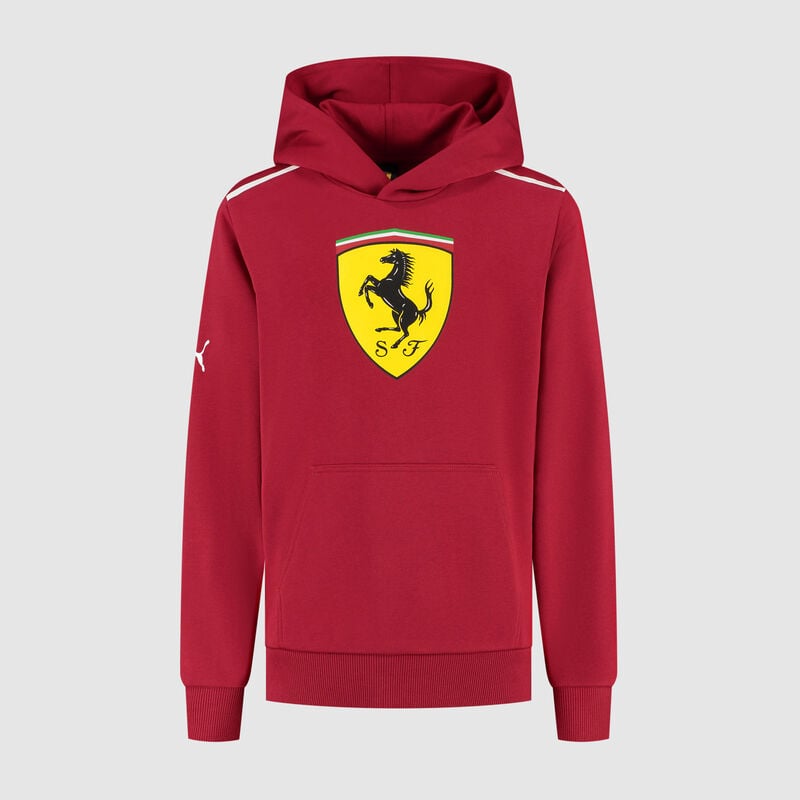 SF FW KIDS LARGE SHIELD HOODY - red