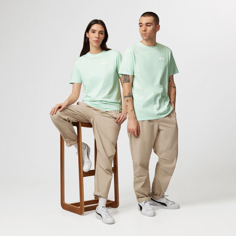 F1 FW PASTEL TEE - blue