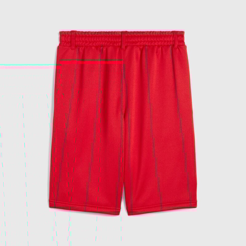 SF LS RACE WOVEN SHORTS - red