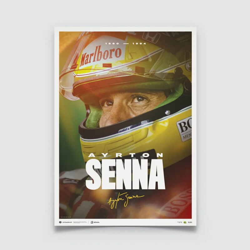 SENNA FACE POSTER - multicolor