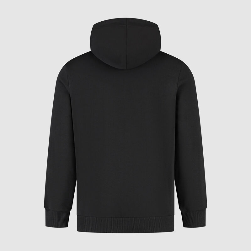 SF FW LARGE SHIELD HOODY - black