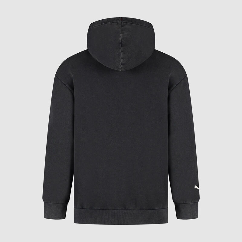 SF FW GRAPHIC HOODY - red