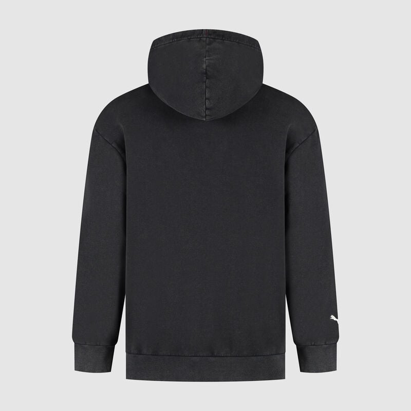 SF FW GRAPHIC HOODY - red