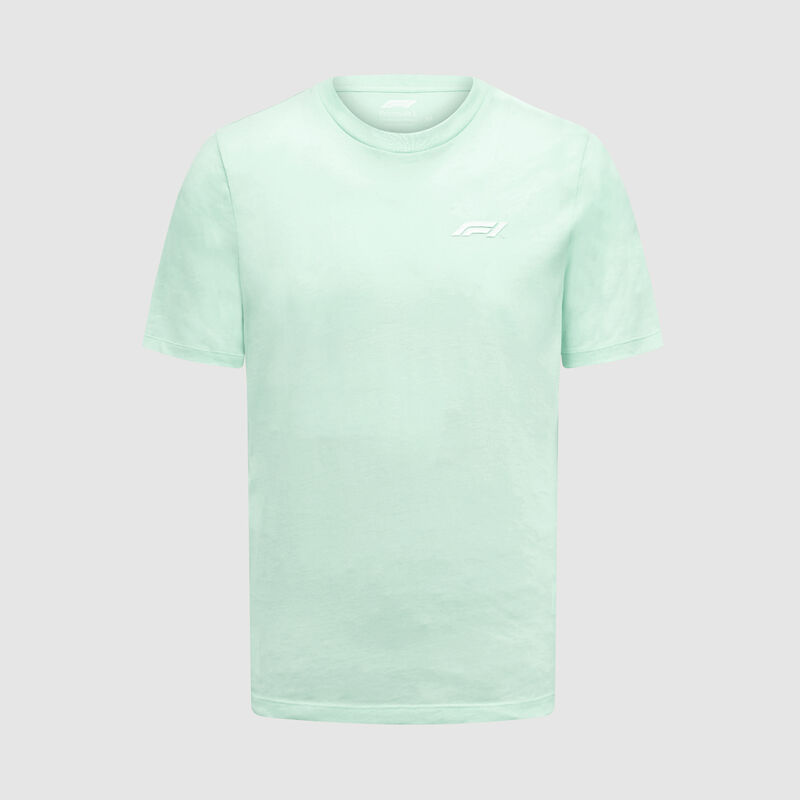 F1 FW PASTEL TEE - blue