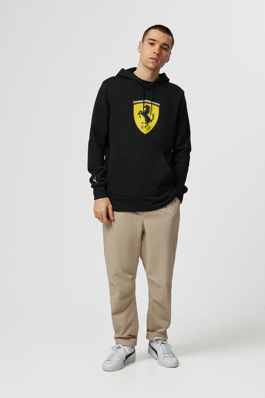 SF FW MENS SHIELD HOODY - black