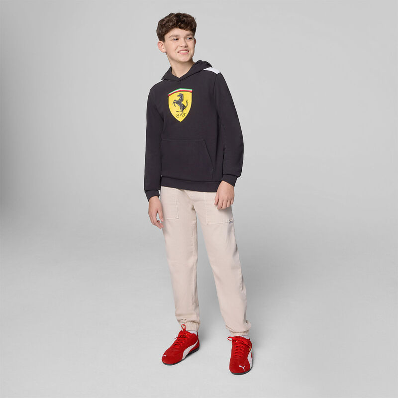 SF FW KIDS LARGE SHIELD HOODY - black