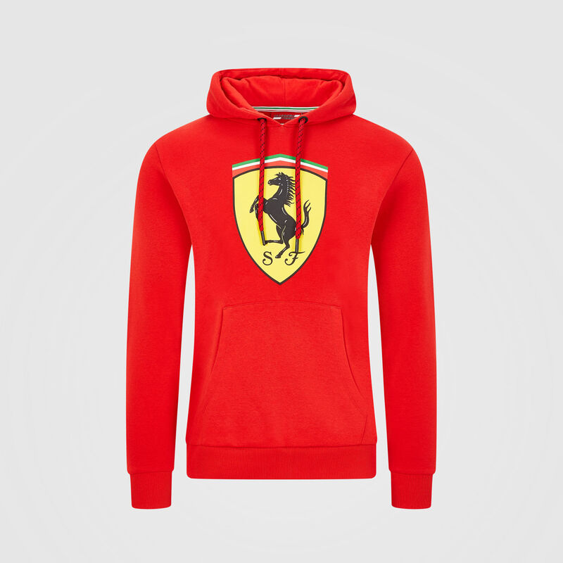 SF FW HOODED SWEAT - red