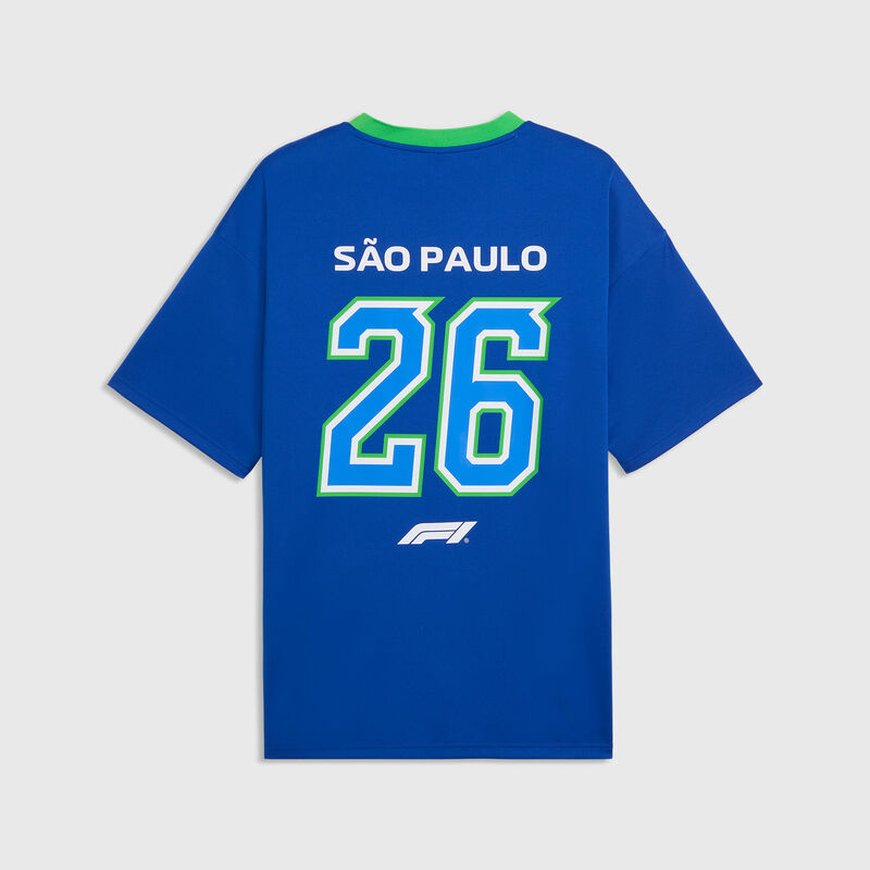 F1 LS Brazil Jersey - blue / green