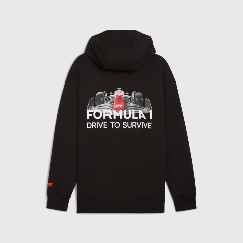 F1 FW DTS Hoodie Relaxed - black