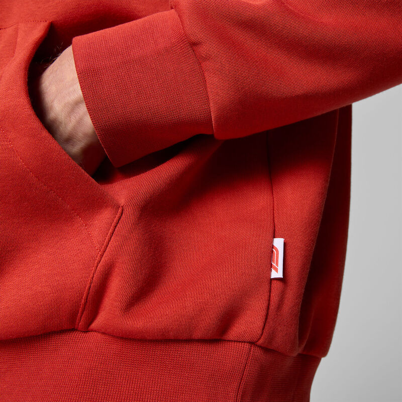 F1 FW HERITAGE GRAPHIC HOODY - red