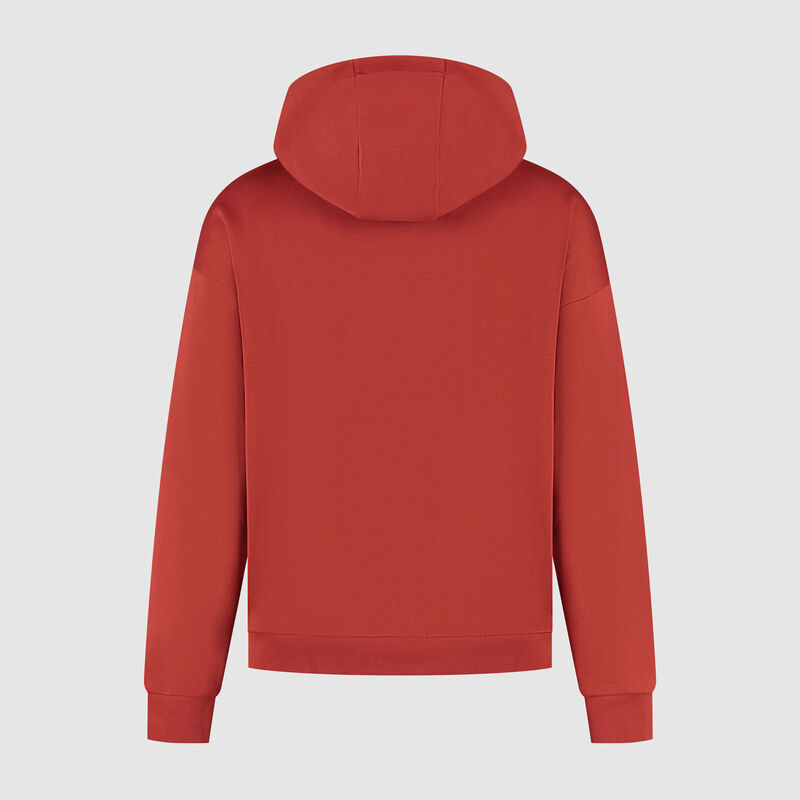 F1 FW HERITAGE GRAPHIC HOODY - red