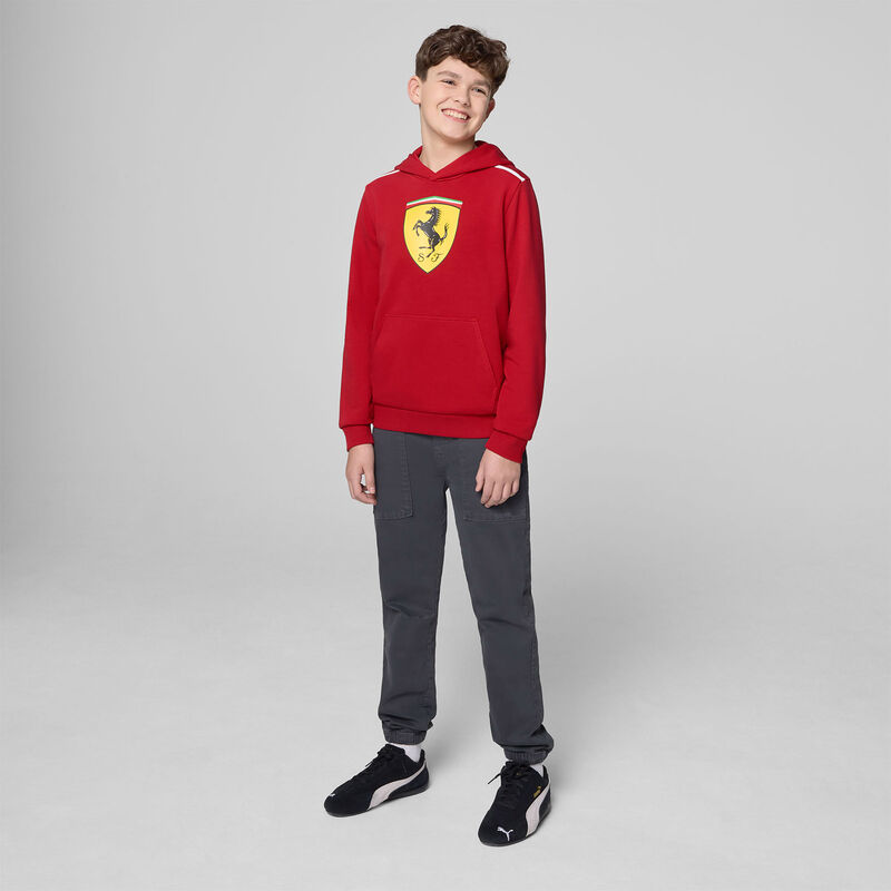 SF FW KIDS LARGE SHIELD HOODY - red