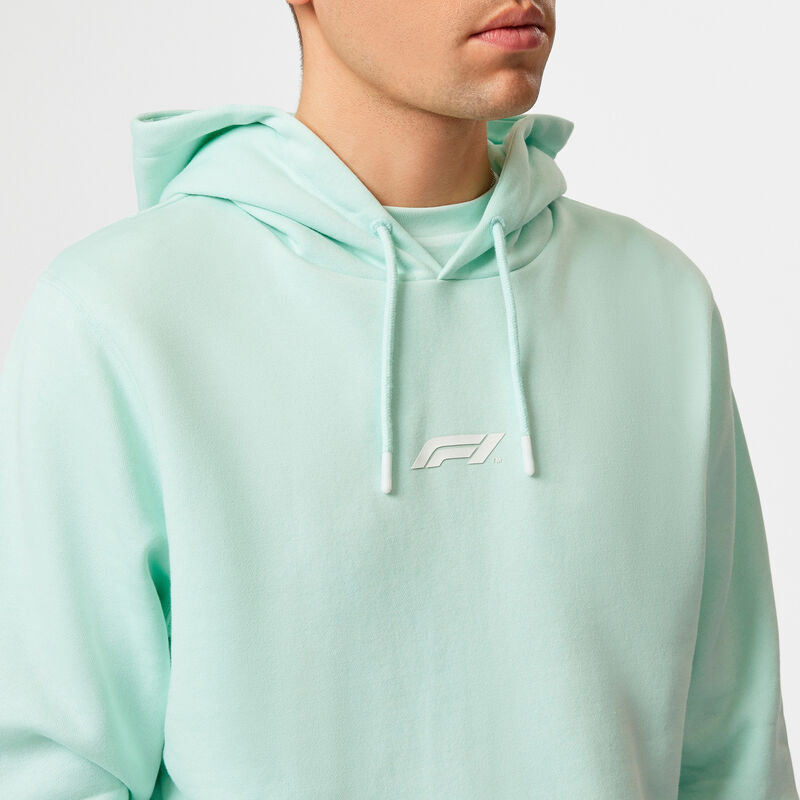 F1 FW PASTEL HOODY - blue