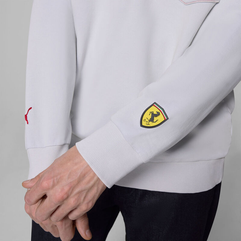 SF FW GRAPHIC HOODY - grey