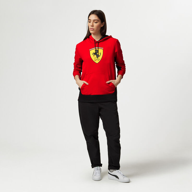 SF FW MENS SHIELD HOODY - red