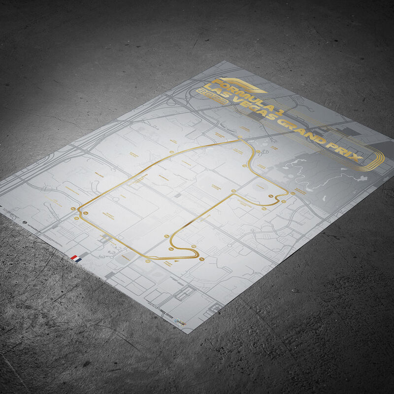 F1 2023 LAS VEGAS GP POSTER - grey