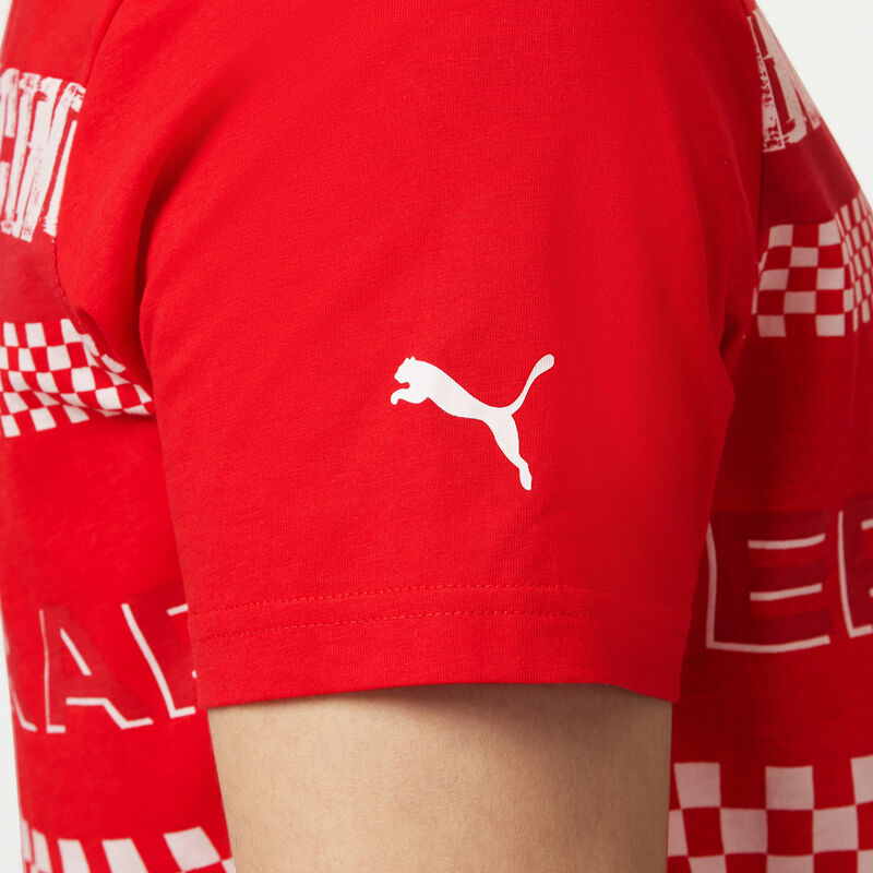 SF FW MENS GRAPHIC TEE - red