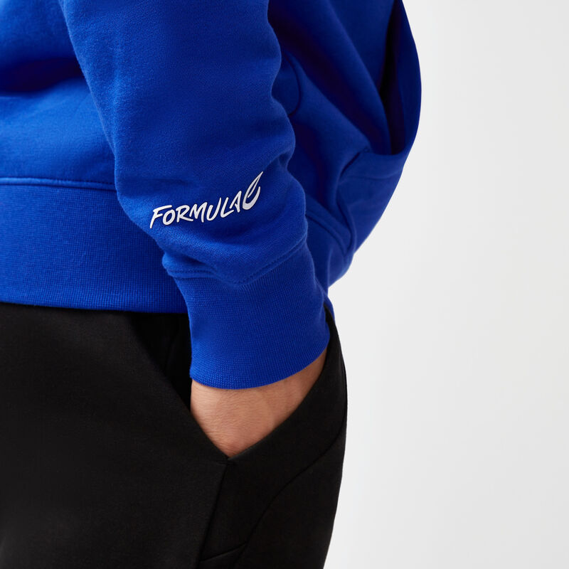 FE FW TONAL E LOGO HOODY - blue
