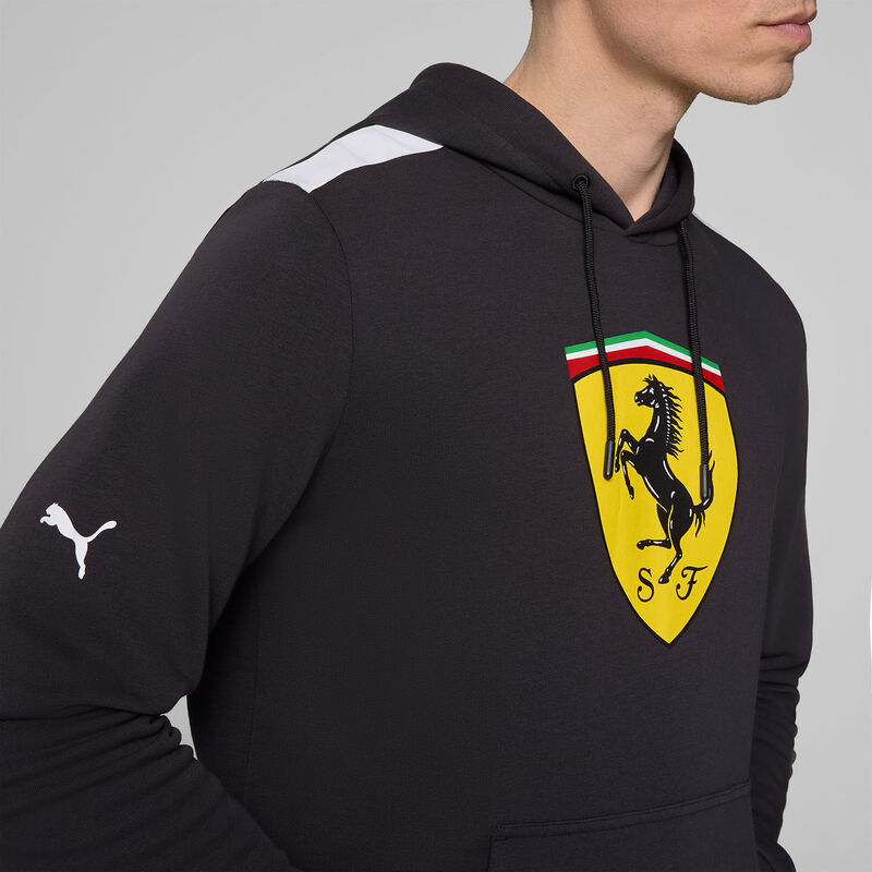 SF FW LARGE SHIELD HOODY - black