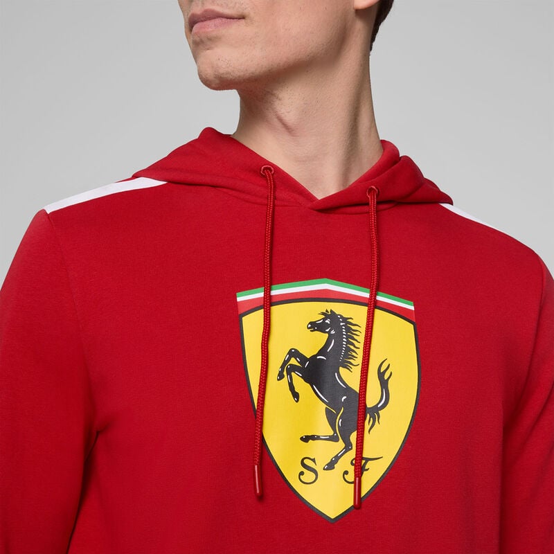 SF FW LARGE SHIELD HOODY - red