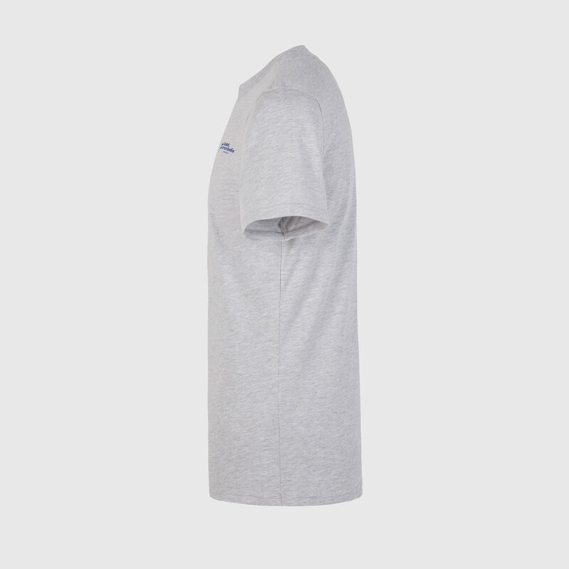 SFI FW OCON DRIVER TEE  - grey