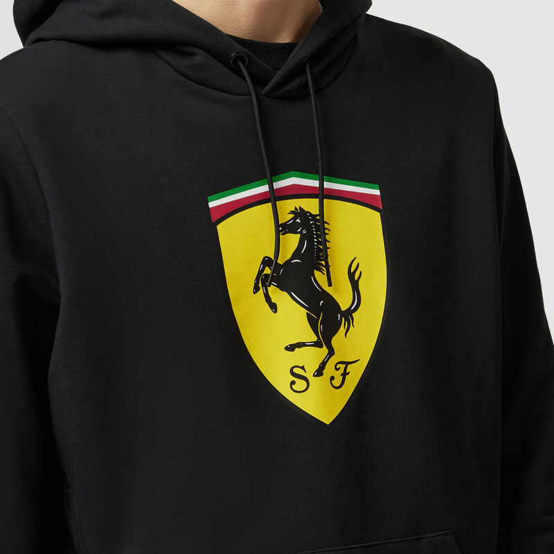 SF FW MENS SHIELD HOODY - black
