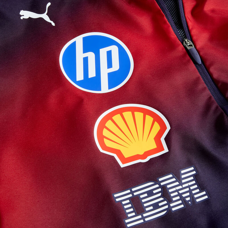 SF RP SE China Hoodie - italian plum