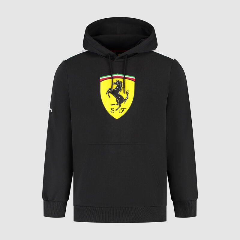 SF FW LARGE SHIELD HOODY - black