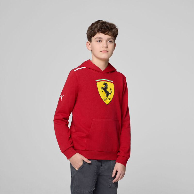 SF FW KIDS LARGE SHIELD HOODY - red